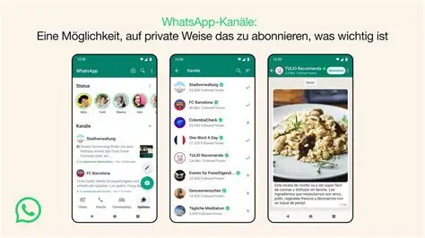 在Windows电脑上轻松搞定WhatsApp的实用方法指南