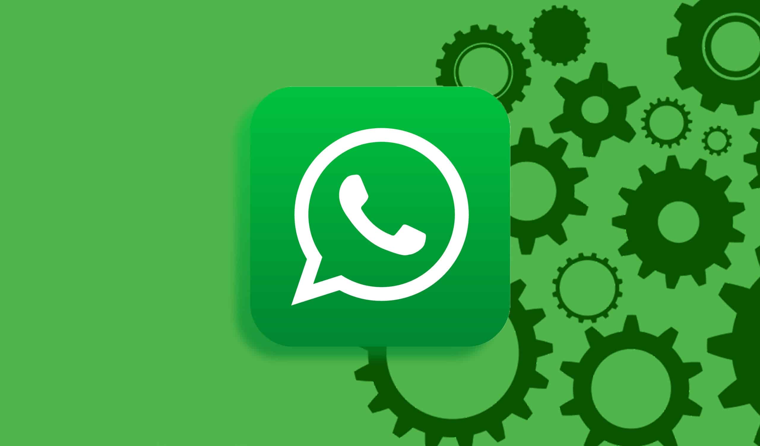 WhatsApp最新版怎么下载？3步避开山寨陷阱